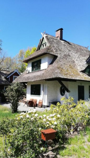 Darßer Strandgut - Haus Butzek, Ahrenshoop